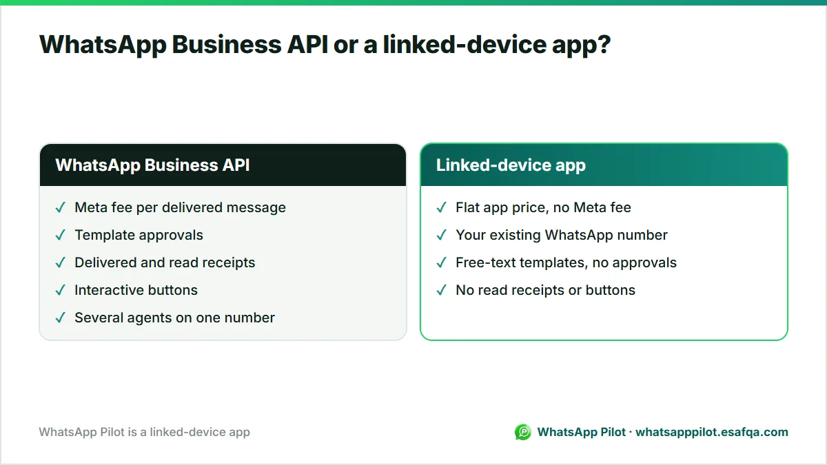 Comparison of the WhatsApp Business API and a linked-device app on fees, template approvals, receipts and buttons.