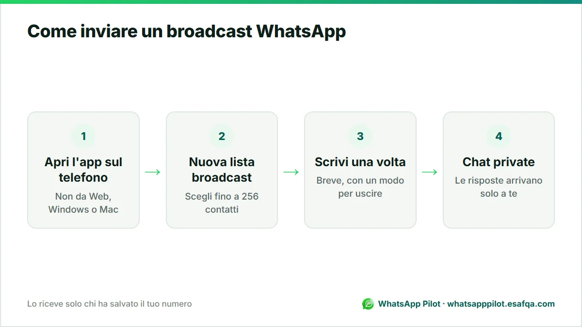 Schema in quattro passaggi per inviare un broadcast WhatsApp dall'app del telefono, dalla creazione della lista alle risposte private.
